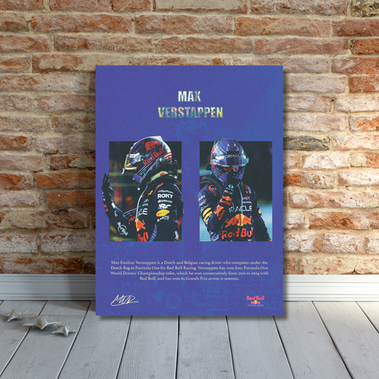 Max Verstappen Poster